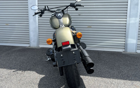 HARLEY FLSS 2017 JS9