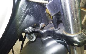 HONDA APE 50