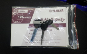 YAMAHA CYGNUSｸﾞﾘﾌｧｽ 2026 SEJ4J