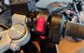 TRIUMPH  TRIUMPH  DAYTONA 660 2024 LGL23U