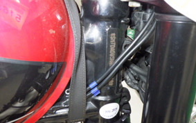 TRIUMPH SPEED TWIN 2019