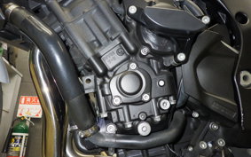 YAMAHA FZ1 FAZER 2013 RN21J