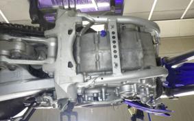 YAMAHA WR250R 2025 DG15J