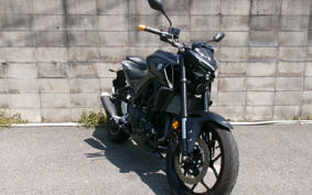 YAMAHA MT-03 2024 RH21J