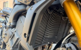 YAMAHA FZ1 FAZER 2014 RN21J