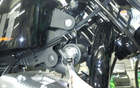 OTHER +HD. XL1200X 2015