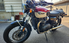 TRIUMPH BONNEVILLE T100 2022 DAD70G