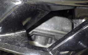 KAWASAKI NINJA 250 ABS EX250L