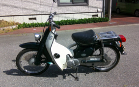 HONDA SUPER CUB50 C50