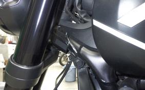 TRIUMPH TRIDENT 600 2023