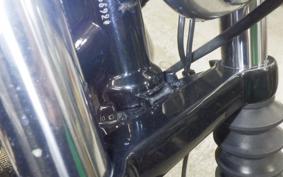 HARLEY XL883N 2010