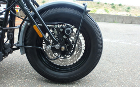 OTHER THUNDER 250 ...