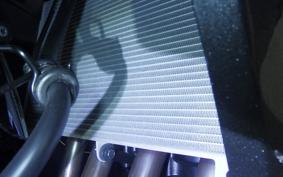 KAWASAKI NINJA1100SX 2025 ZXT10H