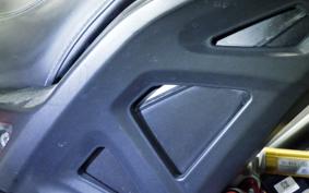 INDIAN FTR1200 carbon 2022