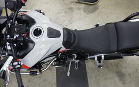 TRIUMPH TIGER 900 RALLY PRO 2024