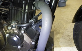 SUZUKI ｼﾞｸｻｰ250 2001 ED22Y