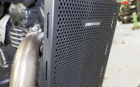 TRIUMPH SPEED400 2024