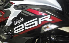 KAWASAKI ZX-25R 2019 ZX250E