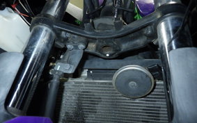 KAWASAKI NINJA 250 2021 EX250L