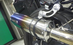 KAWASAKI NINJA 250 EX250L