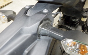 KAWASAKI Z250 Gen.2 EX250P