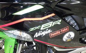 KAWASAKI NINJA ZX-6R A 2020 ZX636G