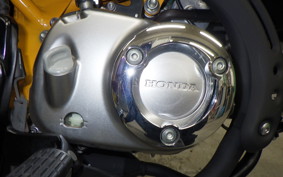 HONDA MONKEY 125 2024 JB02