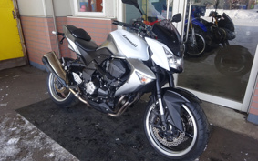KAWASAKI Z1000 2011 ZRT00B