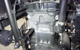 HONDA REBEL 250 S 2010 MC49