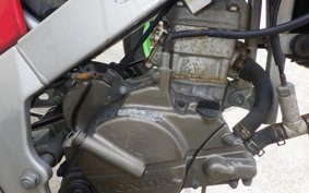 HONDA NSR50 GEN 1 2023 AC10