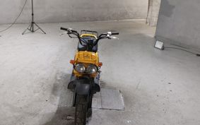 HONDA ZUMAR AF58