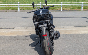 KAWASAKI NINJA 1000 SX 2024 ZXT02K
