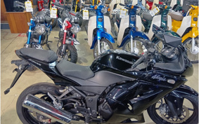 KAWASAKI NINJA 250R EX250K