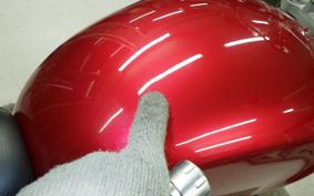 TRIUMPH SPEED TWIN 2024