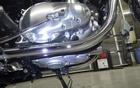 KAWASAKI W800 2024 EJ800E