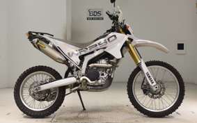 YAMAHA WR250R DG15J