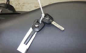 HONDA REBEL 1100 DCT 2021 SC83