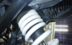 HUSQVARNA SVARTPILEN 250