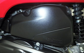 HONDA GIORNO 3 2019 AF77