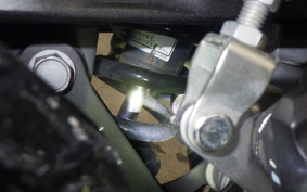 KAWASAKI NINJA 250 2 2021 EX250P