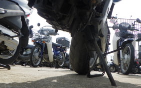 HONDA HORNET 250 MC31