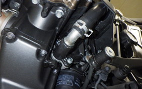 HONDA CB650R 2019 RH03