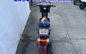 SUZUKI MOLLET