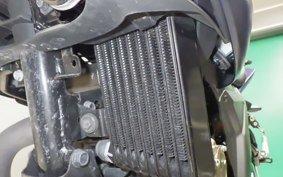 SUZUKI ｼﾞｸｻｰ250 2023 ED22Y