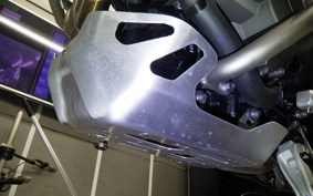 TRIUMPH TIGER900 RALLYARACO 2024