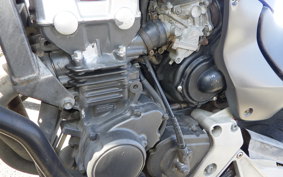 HONDA HORNET 250 MC31