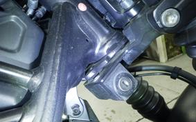 HONDA REBEL 250 S MC49