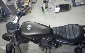 HARLEY XL883N 2021