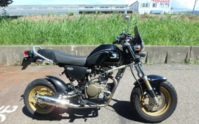 HONDA APE 50 AC16