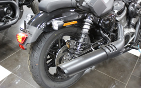 HARLEY  HARLEY RH975 NIGHT  STAR  2023 ZH1